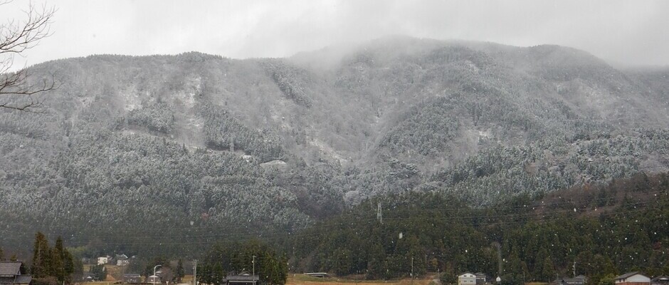 初冬の八乙女山 
